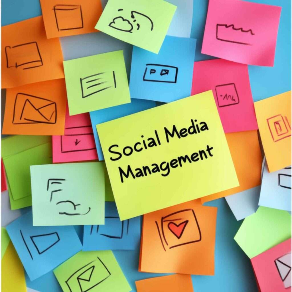 seo managment